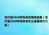 支付寶2020年賬單在哪里查看（支付寶2020年度賬單怎么查看簡介介紹）