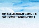 重慶市公安局副局長什么級別?（重慶市公安局長什么級別簡介介紹）