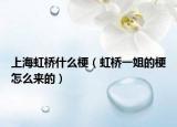 上海虹橋什么梗（虹橋一姐的梗怎么來(lái)的）
