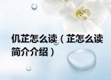 仉芷怎么讀（芷怎么讀簡介介紹）