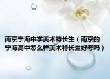 南京寧海中學美術(shù)特長生（南京的寧海高中怎么樣美術(shù)特長生好考嗎）