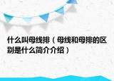 什么叫母線排（母線和母排的區(qū)別是什么簡介介紹）