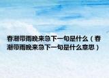 春潮帶雨晚來急下一句是什么（春潮帶雨晚來急下一句是什么意思）