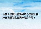 衣服上櫻桃汁能洗掉嗎（櫻桃汁液掉在衣服怎么能洗掉簡介介紹）