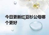 今日更新紅豆杉公母哪個更好