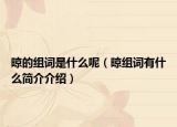 晾的組詞是什么呢（晾組詞有什么簡介介紹）