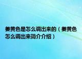 姜黃色是怎么調(diào)出來的（姜黃色怎么調(diào)出來簡介介紹）