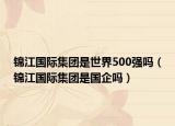 錦江國際集團(tuán)是世界500強(qiáng)嗎（錦江國際集團(tuán)是國企嗎）