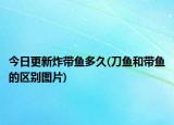 今日更新炸帶魚多久(刀魚和帶魚的區(qū)別圖片)