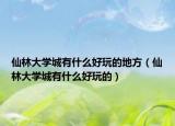 仙林大學(xué)城有什么好玩的地方（仙林大學(xué)城有什么好玩的）