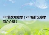 cht英文啥意思（cht是什么意思簡介介紹）