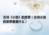 古詩《小池》的意思（古詩小池的意思是是什么）