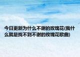 今日更新為什么不謝的玫瑰花(我什么就是找不到不謝的玫瑰花歌曲)
