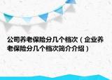 公司養(yǎng)老保險(xiǎn)分幾個(gè)檔次（企業(yè)養(yǎng)老保險(xiǎn)分幾個(gè)檔次簡(jiǎn)介介紹）