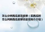 怎么分辨西瓜皮薄皮厚（買西瓜時怎么判斷西瓜皮厚還是薄簡介介紹）