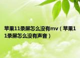 蘋果11錄屏怎么沒有mv（蘋果11錄屏怎么沒有聲音）