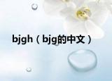 bjgh（bjg的中文）