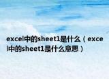 excel中的sheet1是什么（excel中的sheet1是什么意思）