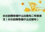 長長的柳條像什么比喻句二年級課文（長長的柳條像什么比喻句）