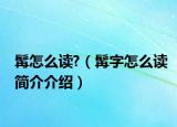 髯怎么讀?（髯字怎么讀簡介介紹）