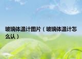 玻璃體溫計(jì)圖片（玻璃體溫計(jì)怎么認(rèn)）