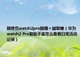 鍗庝負watch2pro鎵嬭〃鏀葷暐（華為watch2 Pro智能手表怎么查看日?；顒佑涗洠? /></span></a>
                        <h2><a href=