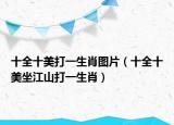 十全十美打一生肖圖片（十全十美坐江山打一生肖）