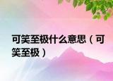 可笑至極什么意思（可笑至極）