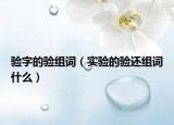 驗字的驗組詞（實驗的驗還組詞什么）