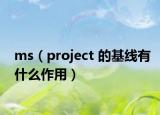 ms（project 的基線有什么作用）