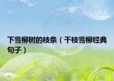 下雪柳樹的枝條（干枝雪柳經(jīng)典句子）