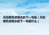 天街夜色涼如水的下一句是（天街夜色涼如水的下一句是什么）