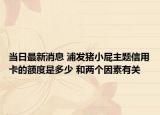 當(dāng)日最新消息 浦發(fā)豬小屁主題信用卡的額度是多少 和兩個(gè)因素有關(guān)
