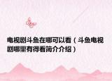 電視劇斗魚在哪可以看（斗魚電視劇哪里有得看簡(jiǎn)介介紹）