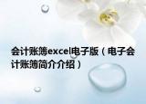 會(huì)計(jì)賬簿excel電子版（電子會(huì)計(jì)賬簿簡(jiǎn)介介紹）