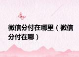 微信分付在哪里（微信分付在哪）