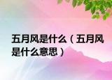 五月風(fēng)是什么（五月風(fēng)是什么意思）