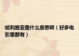 哈利路亞是什么意思?。ê枚嚯娪袄锒加校? /></span></a>
                        <h2><a href=