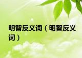 明智反義詞（明智反義詞）