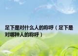 足下是對什么人的稱呼（足下是對哪種人的稱呼）