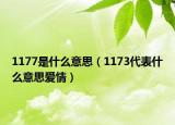 1177是什么意思（1173代表什么意思愛(ài)情）