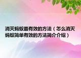 消滅螞蟻?zhàn)钣行У姆椒ǎㄔ趺聪麥缥浵伜?jiǎn)單有效的方法簡(jiǎn)介介紹）