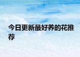 今日更新最好養(yǎng)的花推薦