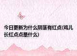 今日更新為什么陰莖有紅點(diǎn)(雞兒長(zhǎng)紅點(diǎn)點(diǎn)是什么)