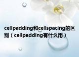 cellpadding和cellspacing的區(qū)別（cellpadding有什么用）