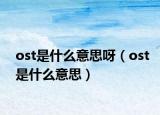 ost是什么意思呀（ost是什么意思）