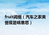 fruit詞組（汽車之家美譽(yù)度是啥意思）