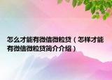 怎么才能有微信微粒貸（怎樣才能有微信微粒貸簡介介紹）