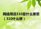 網(wǎng)絡(luò)用語310是什么意思（310什么梗）