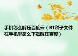 手機怎么解壓百度云（BT種子文件在手機里怎么下載解壓百度）